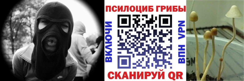 Купить  Узловая  Псилоцибиновые грибы прущие грибы 