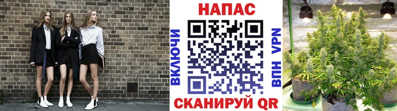 Канабис OG Kush Купить Узловая